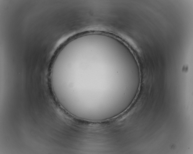 X0000093121264200709261006