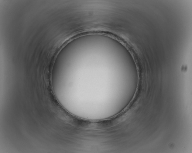 X0000093121265200709261006