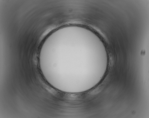 X0000093121266200709261006
