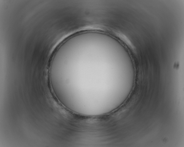 X0000093121268200709261006