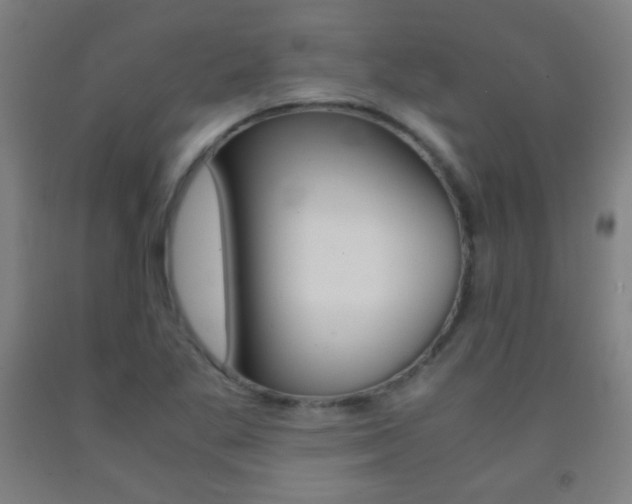X0000093121269200709261006