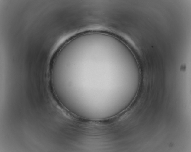 X0000093121270200709261006