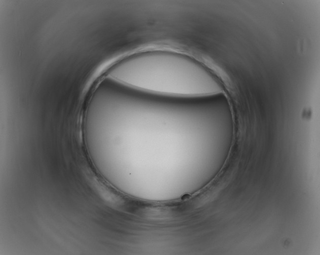 X0000093121272200709261006