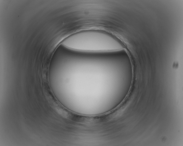X0000093121273200709261006