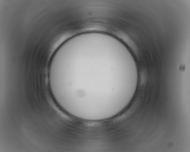 X0000093121274200709261006