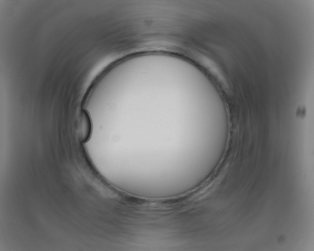 X0000093121275200709261006