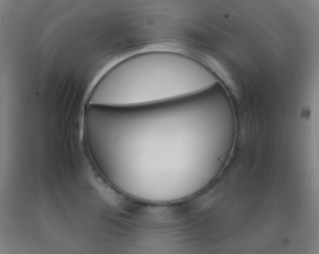 X0000093121276200709261006