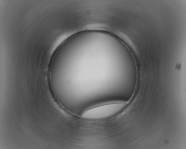 X0000093121277200709261006