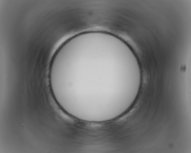 X0000093121278200709261006