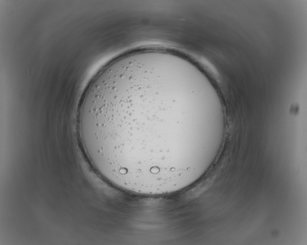 X0000093121279200709261006