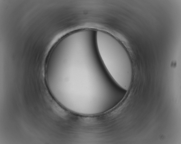 X0000093121280200709261006