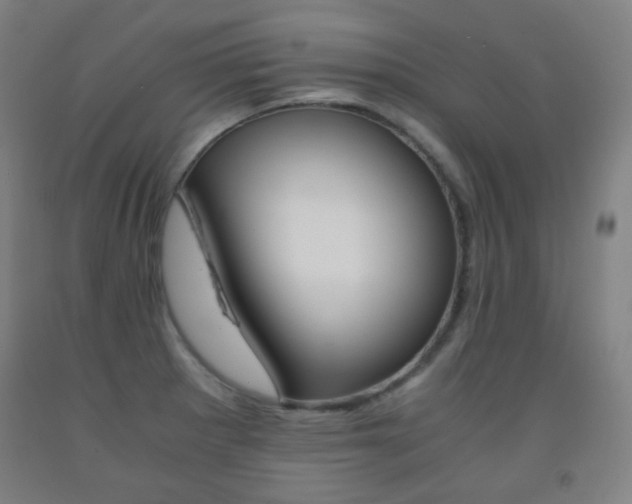 X0000093121281200709261006