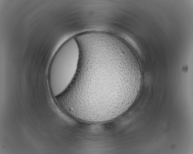 X0000093121283200709261006