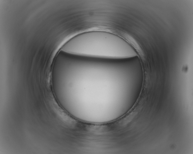 X0000093121284200709261006