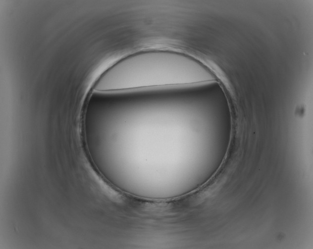 X0000093121285200709261006