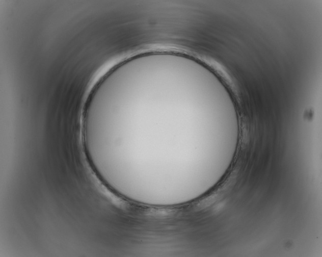 X0000093121286200709261006