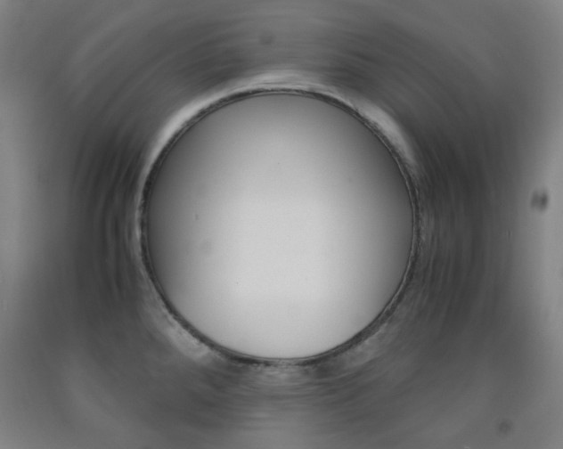 X0000093121288200709261006