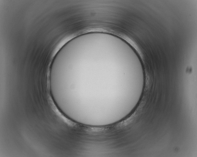 X0000093121290200709261006