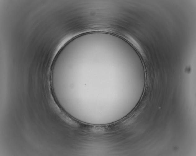 X0000093121291200709261006