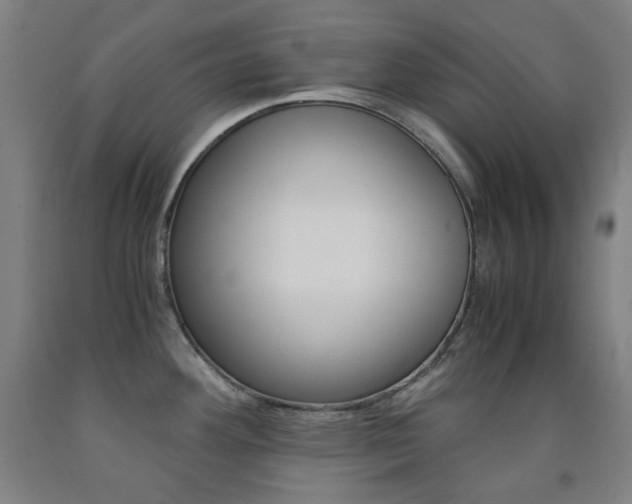 X0000093121292200709261006