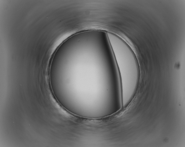 X0000093121293200709261006
