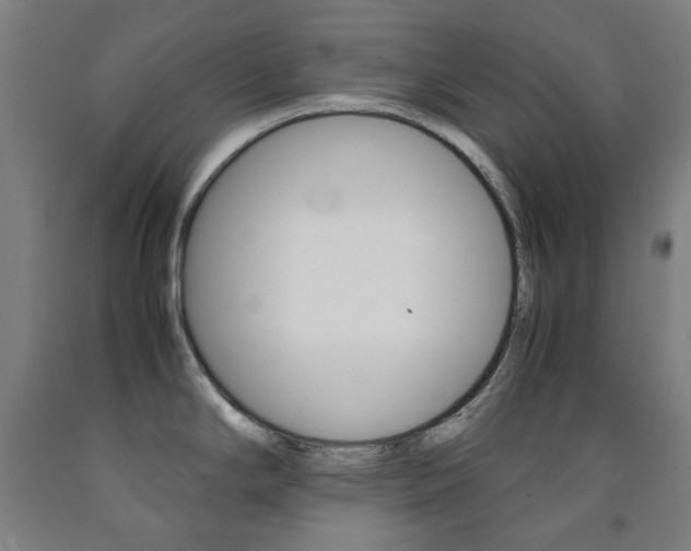 X0000093121294200709261006