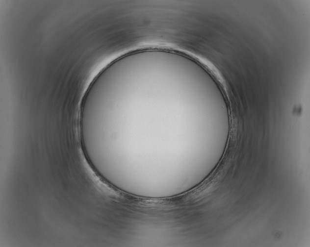 X0000093121295200709261006