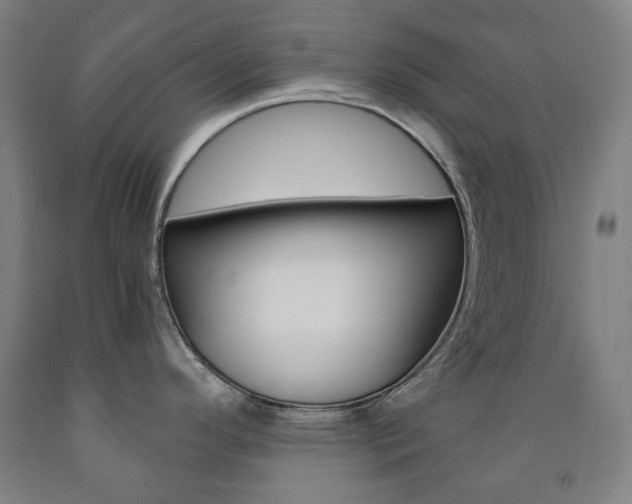 X0000093121296200709261006