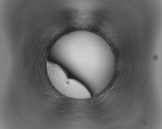 X0000093121297200709261005