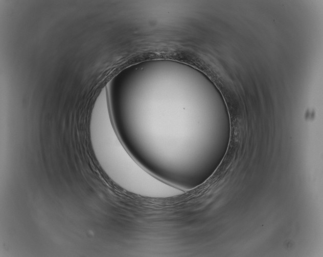 X0000093121298200709261005
