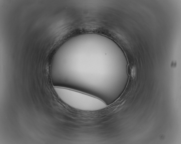 X0000093121299200709261005