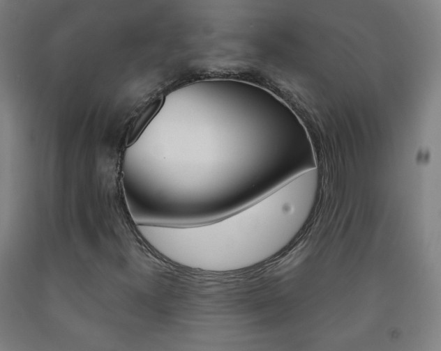 X0000093121300200709261005