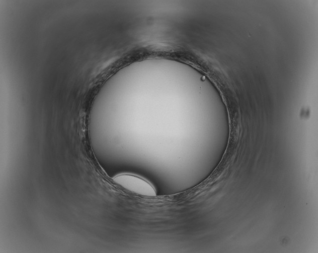 X0000093121301200709261005