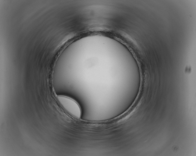 X0000093121305200709261005