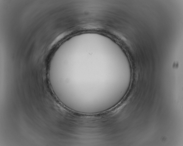 X0000093121306200709261005