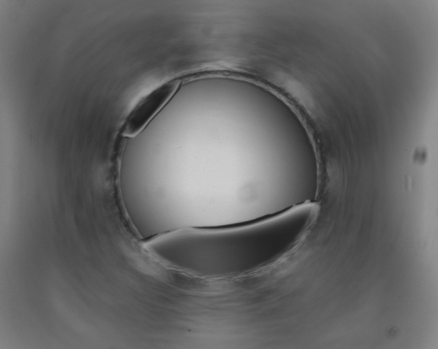 X0000093121308200709261005