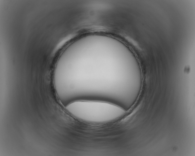 X0000093121309200709261005