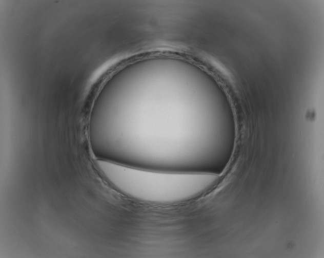 X0000093121310200709261005