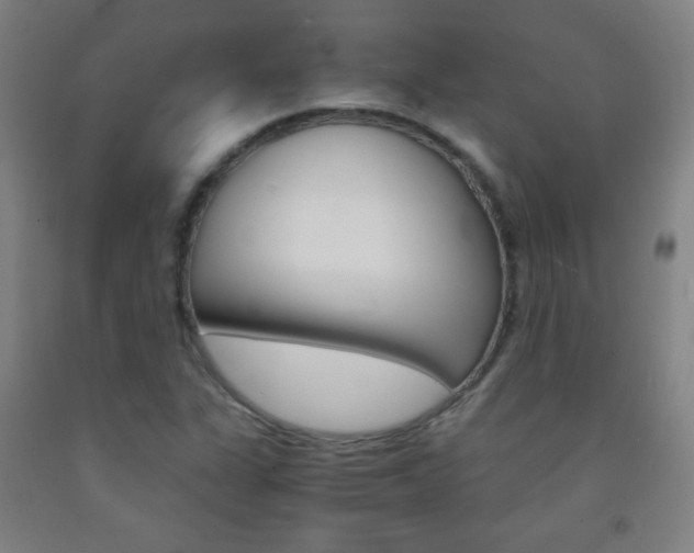 X0000093121311200709261005