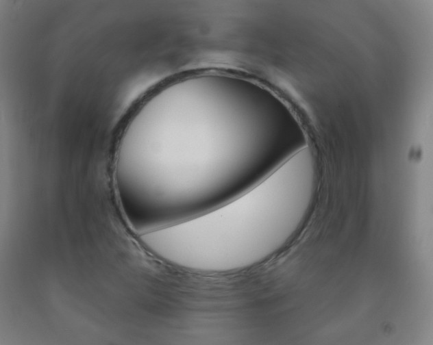 X0000093121312200709261005