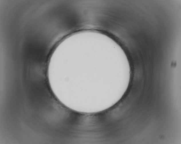 X0000093121314200709261005