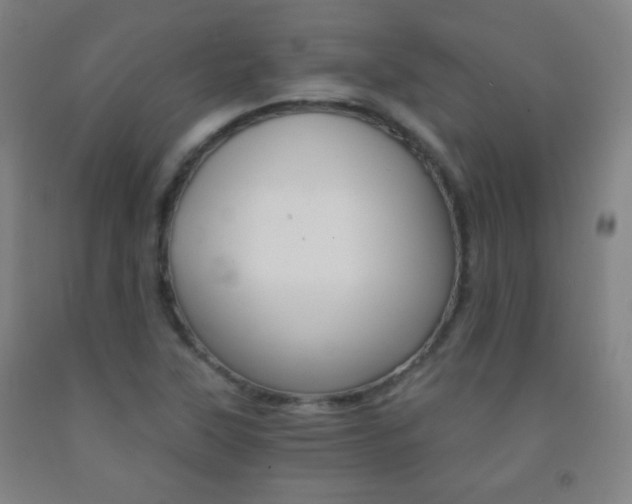 X0000093121315200709261005