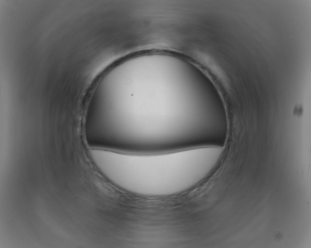 X0000093121316200709261005