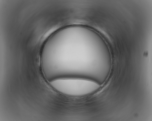 X0000093121317200709261005