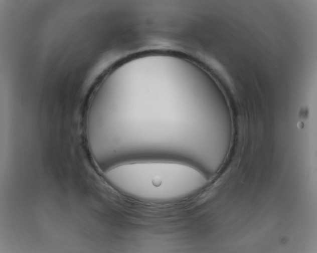 X0000093121318200709261005