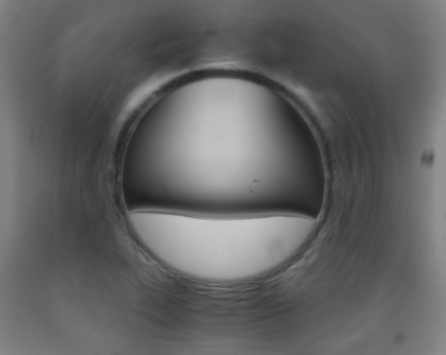 X0000093121319200709261005