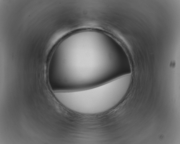 X0000093121320200709261005