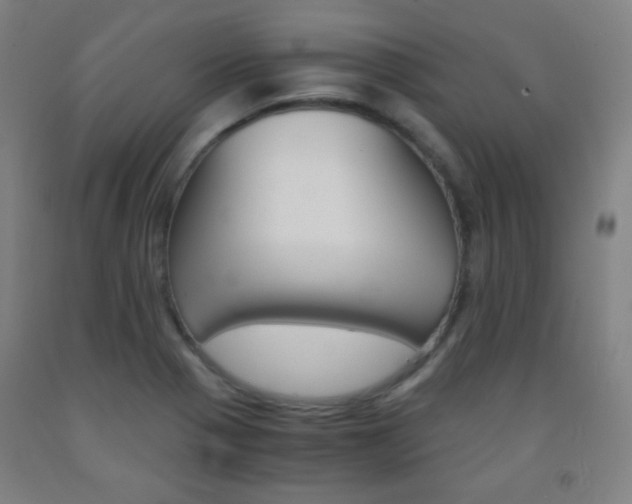 X0000093121321200709261005