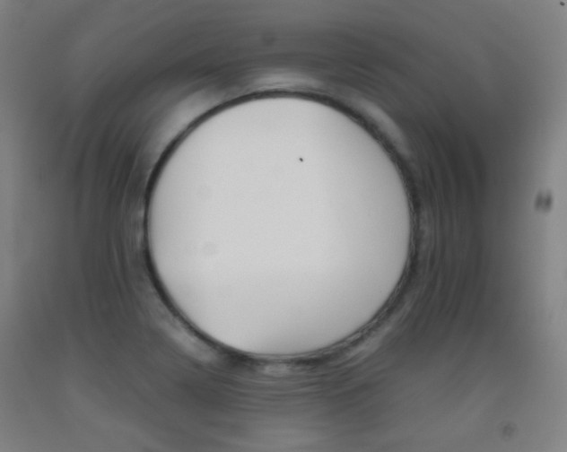 X0000093121322200709261005