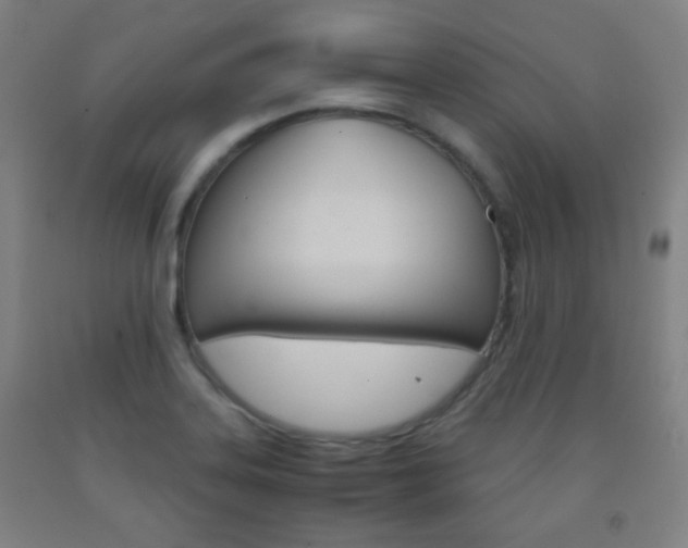 X0000093121323200709261005